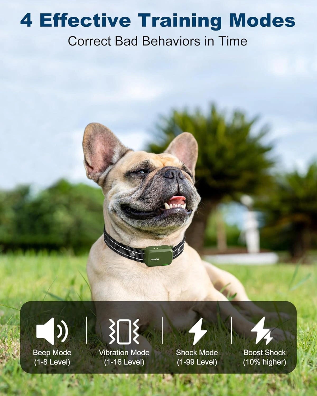 Remote Innovative Dog Training Collar