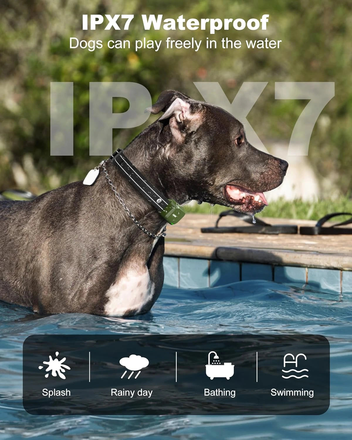 Remote Innovative Dog Training Collar