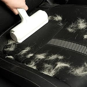 Pet hair removal 1